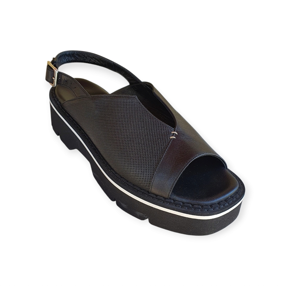 1740 Savanna nero-savanna nero